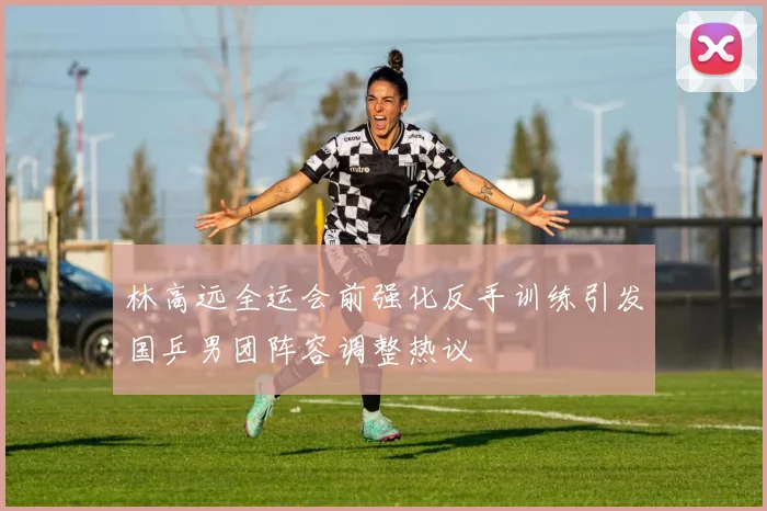 林高远全运会前强化反手训练引发国乒男团阵容调整热议