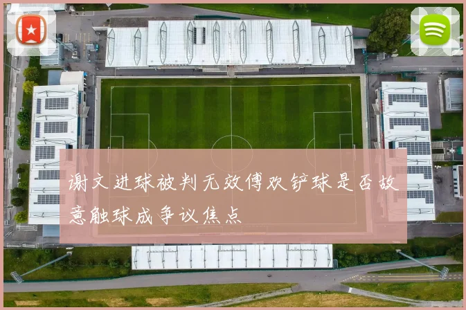 谢文进球被判无效傅欢铲球是否故意触球成争议焦点