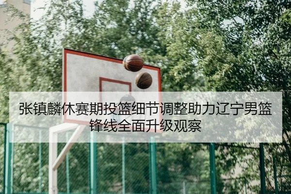 张镇麟休赛期投篮细节调整助力辽宁男篮锋线全面升级观察
